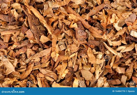 Cut Dried Leaves of Tobacco Stock Photo - Image of smoke, shredded: 16484770