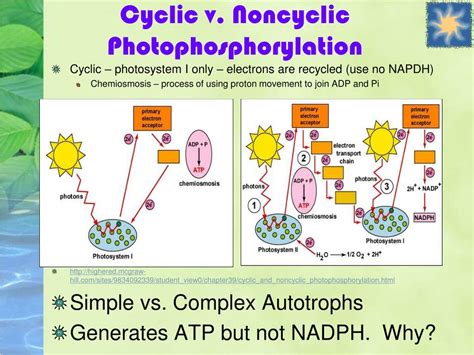 Cyclic Pathway