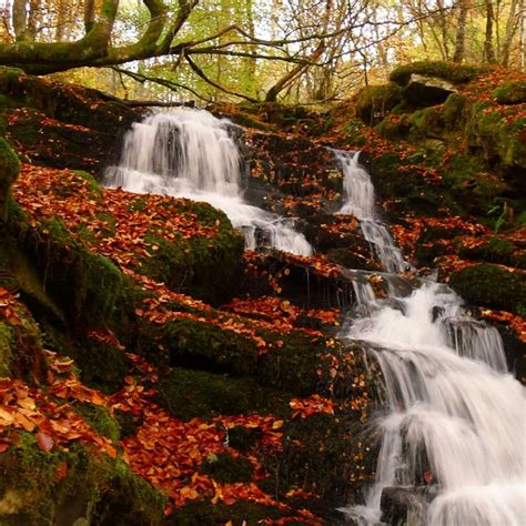 Waterfalls Woodlands & Lochside Walking Tour Scotland