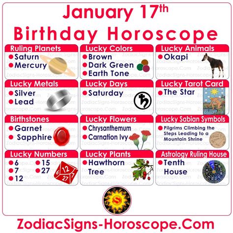 What Is January 17 Zodiac Sign? Understanding The Traits And ...