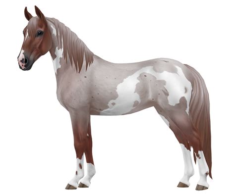 Tennessee walker, horse breed of Jorvik | Star Stable