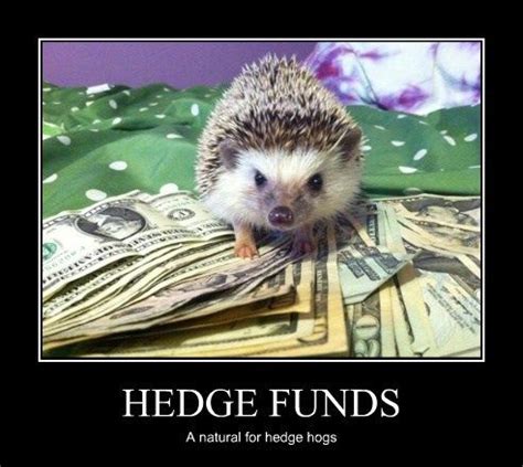 100+ ideas to try about Financial Humor | Finance, Irs tax and Taxes humor