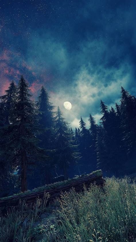 Night Sky Wallpaper, Forest Wallpaper, Sunset Wallpaper, Anime Scenery ...