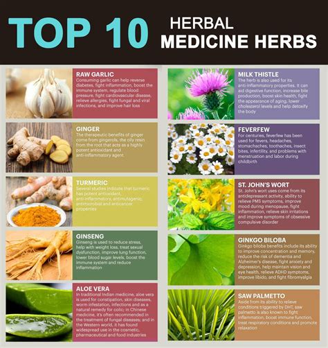 10 Herbal Medicine - Vedic Paths