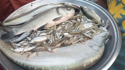 Amazing! Bangladesh|Very Nice Bangladesh Fish Market Scene Daily Lif ...