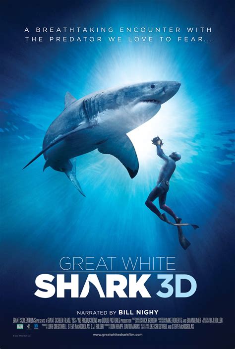 IMAX GREAT WHITE SHARK 3D: THE REVIEW | Salty Popcorn