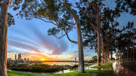Discover Beautiful Kings Park Perth WA - A Useful Guide