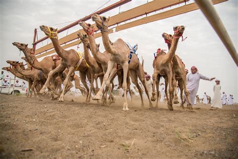 OmanPride: Oman-based photographer capturing culture - Times of Oman