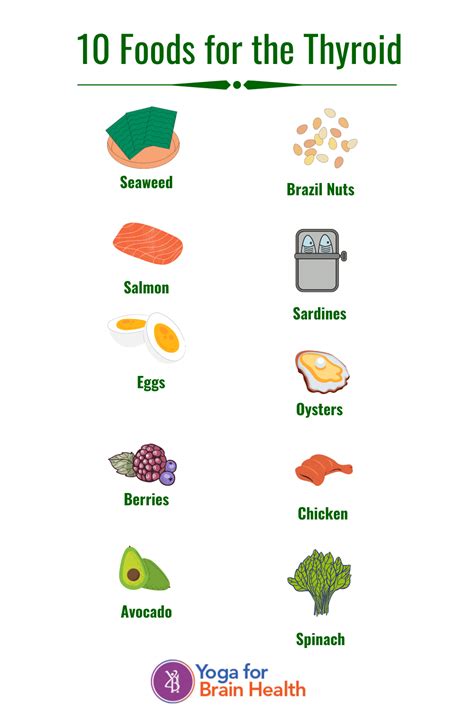 Keep your body running at its most efficient by eating for thyroid health. Try these 10 foods to ...