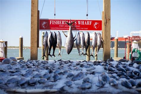 Gulf Tuna Fishing Tips and Tricks - Port Aransas Fishing at Fishermans Wharf