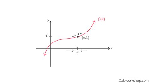 Finding Limits Graphically (How To w/ 29 Examples!)