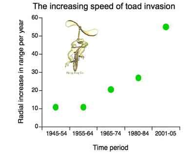 Cane Toad Evolution