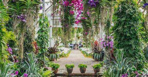 New York Botanical Garden Ticket - Klook