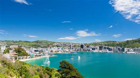 Car rental at Wellington airport from $41/day - KAYAK