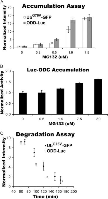 Quantitative Cell-based Protein Degradation Assays to Identify and Classify Drugs That Target ...