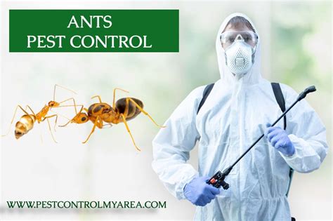 Ants Pest Control Services Removal, Exterminator United States