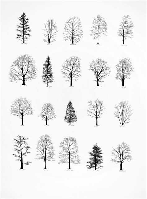 I want a tattoo to represent Maine, where I grew up. A super simple pine tree like this would be ...