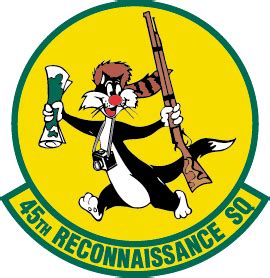 45th Reconnaissance Squadron - Wikipedia | Duty stations, Offutt air ...