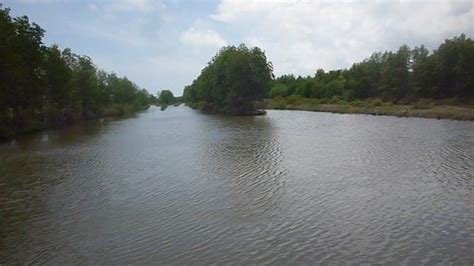 Mangrove forest of Ca Mau, viet nam. Ref: 33314