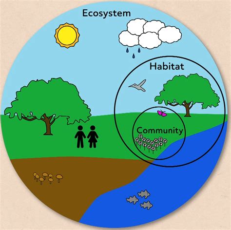 Differences Between Renewable and Nonrenewable Resources (Video)