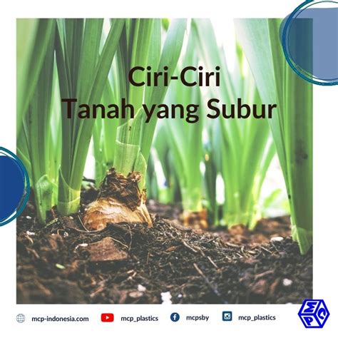 Apa Sih, Ciri Tanah yang Subur? - PT. Mutiaracahaya Plastindo