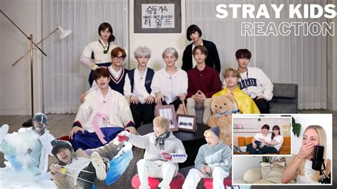 STRAY KIDS REACTION: SKZ Code Ep. 1 | SKZ Family Role Play | Felix ...