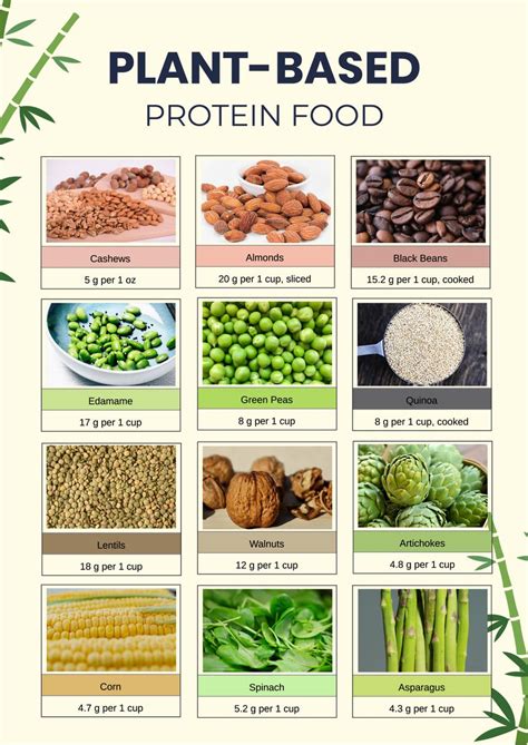 Protein Chart Food Protein Chart Printable Nutrition