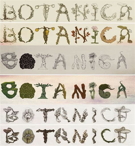 Plant Fonts | Fonts, Plants, Art