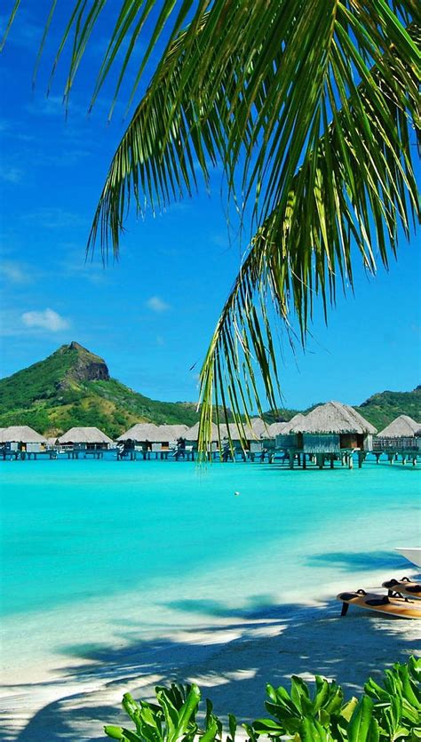 1920x1080px, 1080P free download | Bora Bora, beach, bonito, blue, green, nature, palms, sea ...