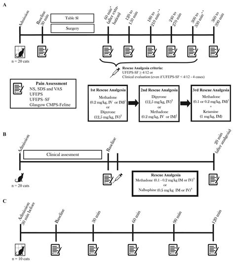 Clinical validation of the short and long UNESP-Botucatu scales for feline pain assessment [PeerJ]