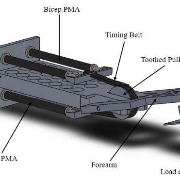 3-D model of the artificial human arm | Download Scientific Diagram