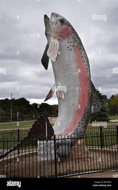 The Big Trout Adaminaby Snowy Mountains New South Wales Australia Stock Photo - Alamy