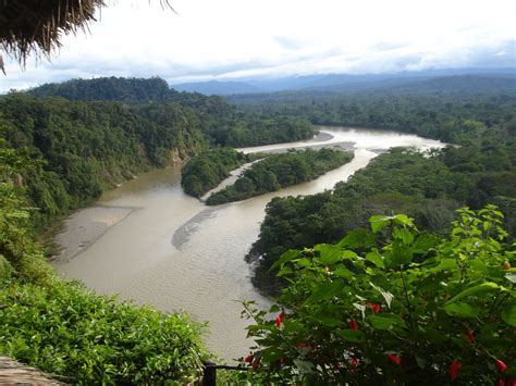 Amazon river basin, Ecuador | River basin, River, Amazon river