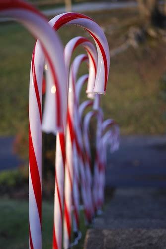 Candy Canes | Nick Amoscato | Flickr