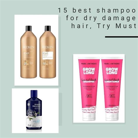 15 best shampoo for dry damage hair