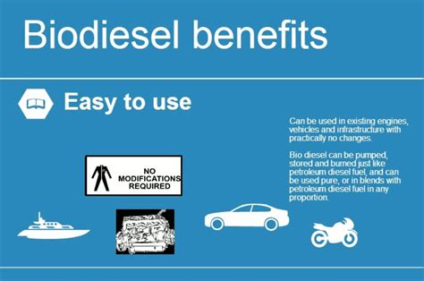 All about Palm Oil: Biodiesel Production