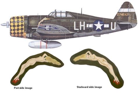 P-47 Thunderbolt paint schemes | P 47 thunderbolt, Grumman f6f hellcat, Wwii aircraft