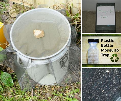 Mosquito Traps - Instructables