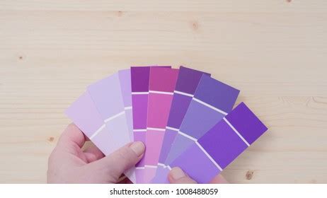 Variety Paint Swatches Shades Purple Pain Stock Photo 1008487906 | Shutterstock
