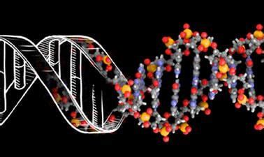 RICEx: DNA: Biology’s Genetic Code | edX