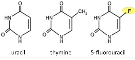 Uracil Structure