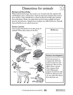 3rd grade science Worksheets, word lists and activities. | GreatSchools