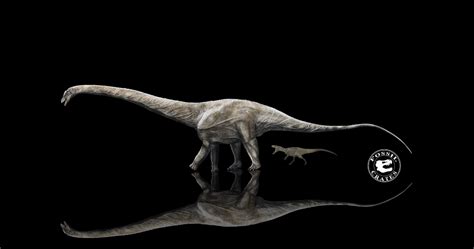 Supersaurus: Scientists realise dinosaur might have been the longest ...