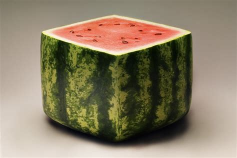 Watermelon Single Cartoon Fruits - Go Images Cast