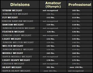 Boxing 101: What Boxing Gloves Does Each Regulation Weight Class Use ...