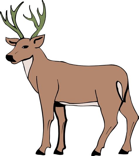 Cartoon Deer Pictures - ClipArt Best