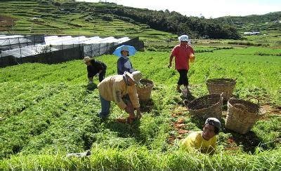 Mga Usapin sa Aking Bayan: Kalagayan ng Agrikultura