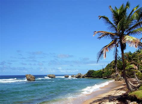 Bathsheba, Barbados, Photograph by Kurt Van Wagner - Fine Art America