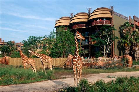 Disney's Animal Kingdom Lodge in Orlando | Best Rates & Deals on Orbitz