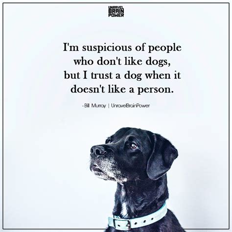 I'm Suspicious Of People Who Don't Like Dogs - Unravel Brain Power